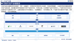    <strong>研究演讲—中国印染行业成长概况、市场</strong>