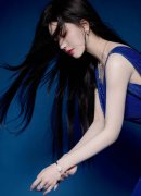 欧美AAA片子V5